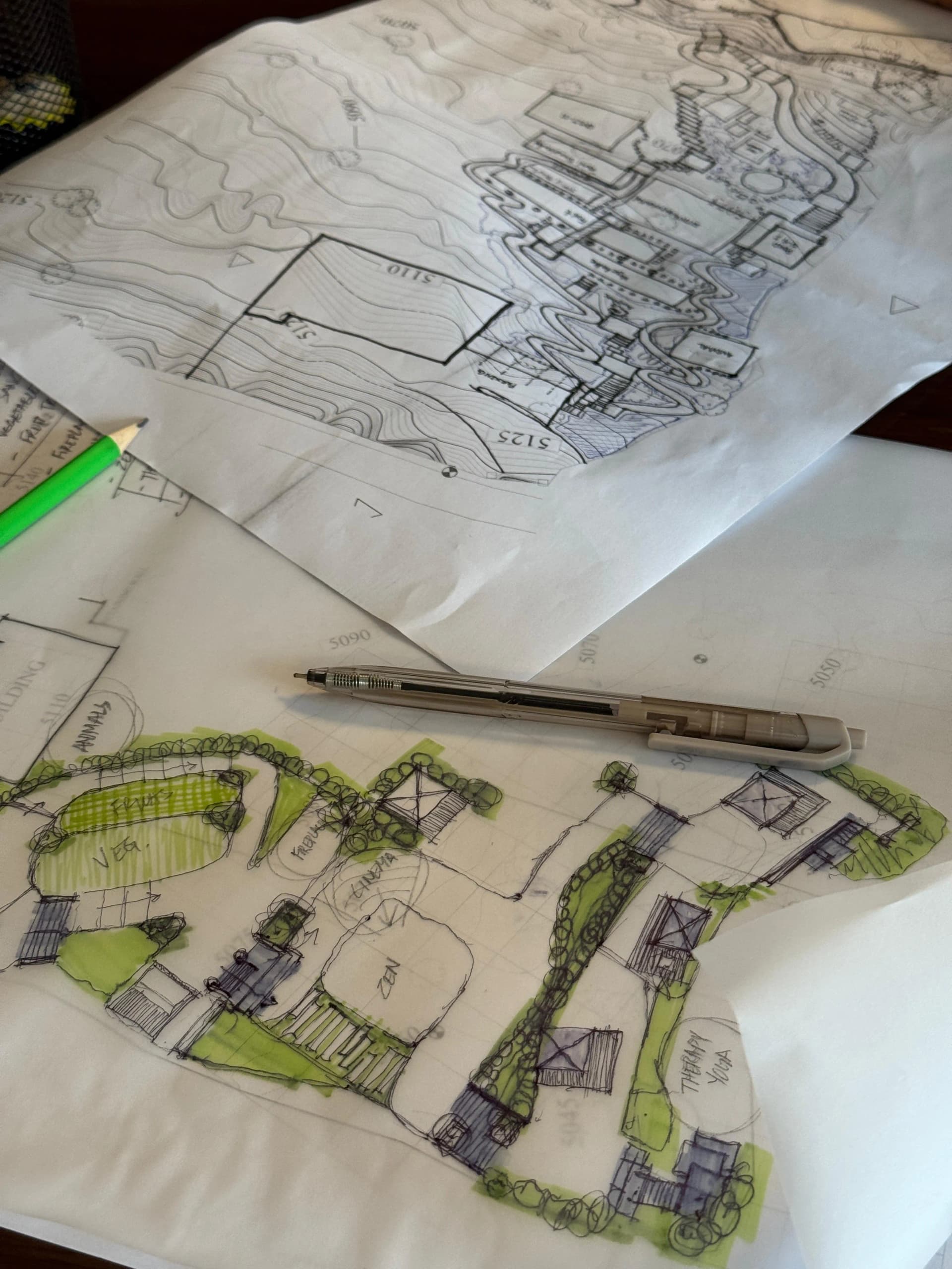 Consultation Project 5